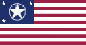 Future US Flag